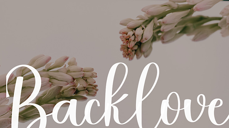 Backlove Font