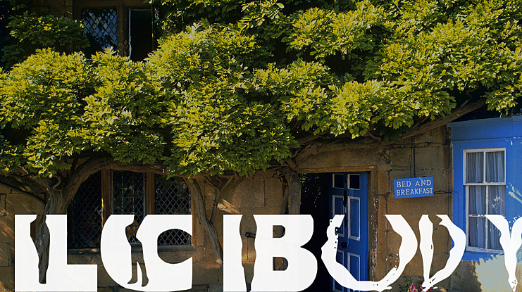 switcheroo Font Family