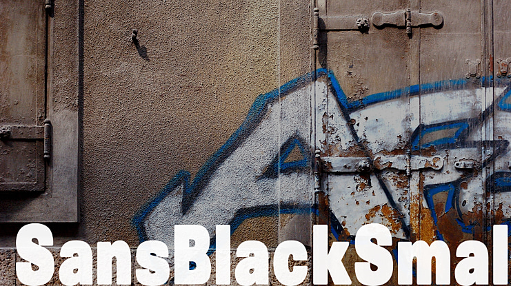 SansBlack Font Family