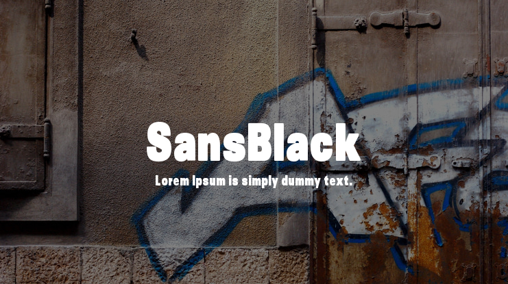 SansBlack Font Family