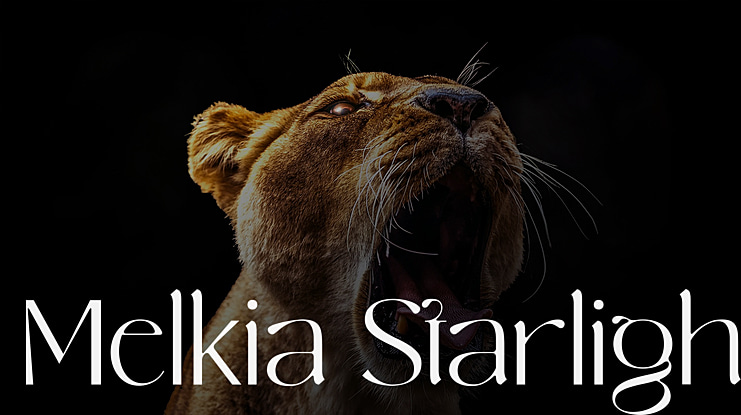 Melkia Starlight Font