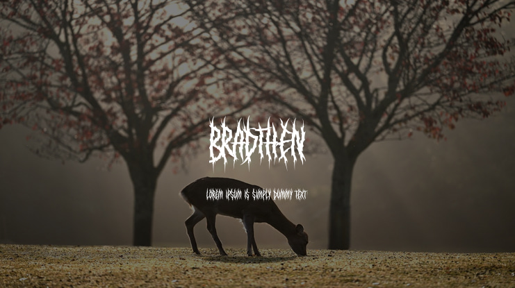 Bradthen Font