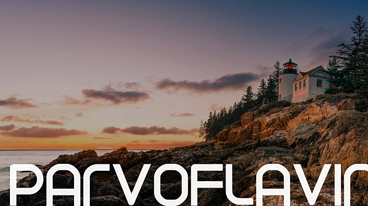 Parvoflavin Font Family
