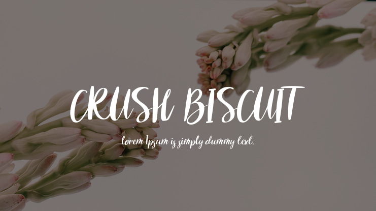 CRUSH BISCUIT Font