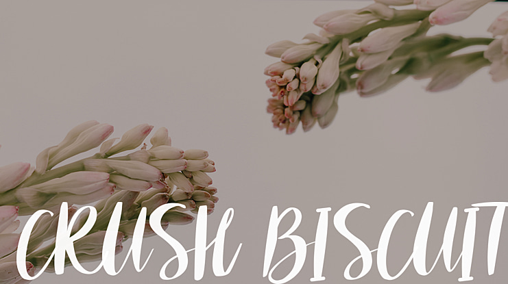 CRUSH BISCUIT Font