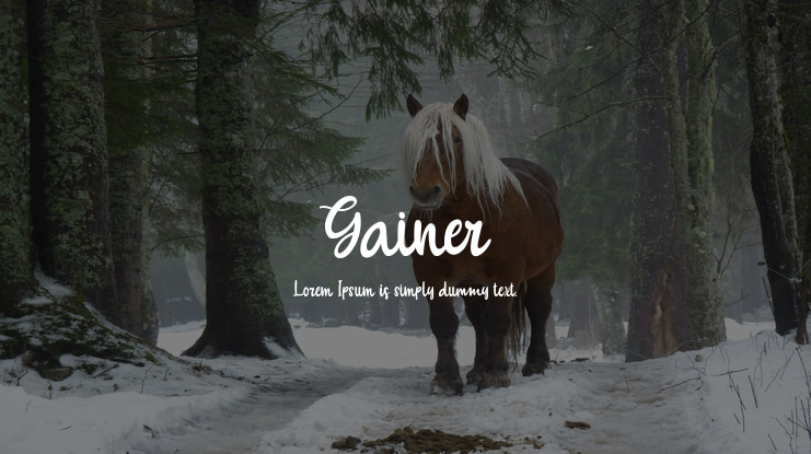 Gainer Font