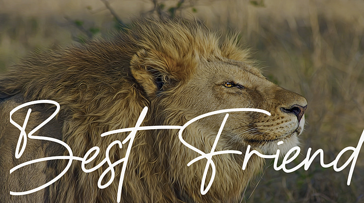 Best Friend Font