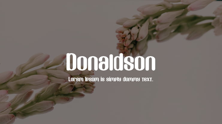 Donaldson Font