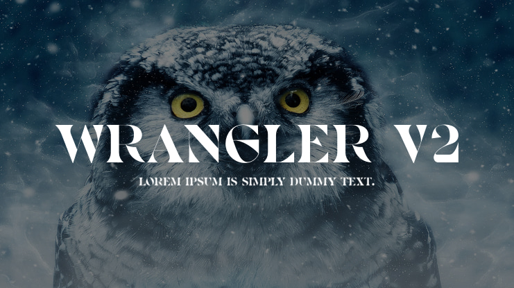 Wrangler V2 Font