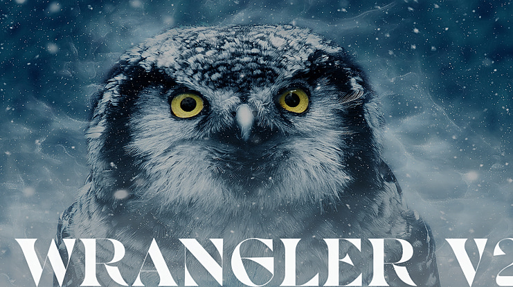 Wrangler V2 Font