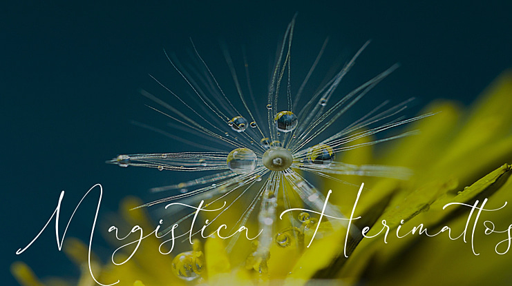 Magistica Herimattos Font