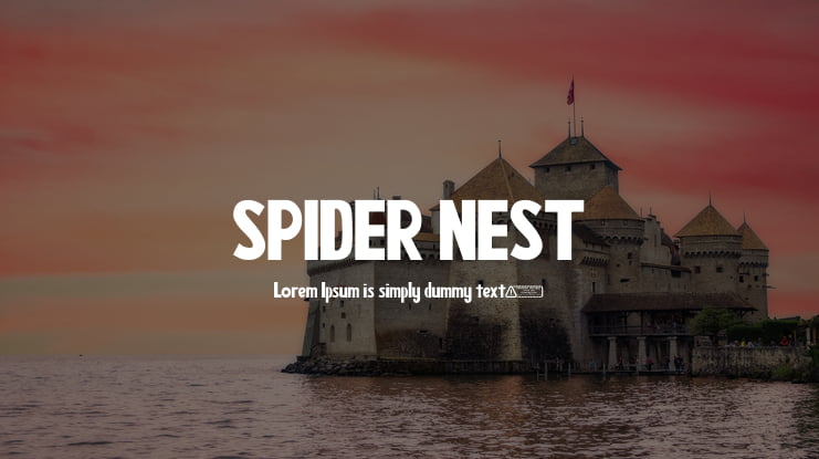 SPIDER NEST Font