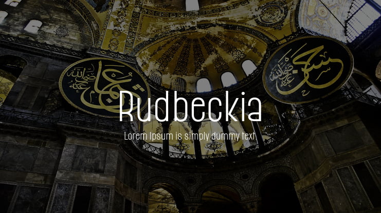 Rudbeckia Font
