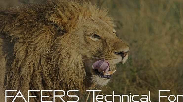 Fafers Technical Font