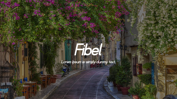 Fibel Font Family