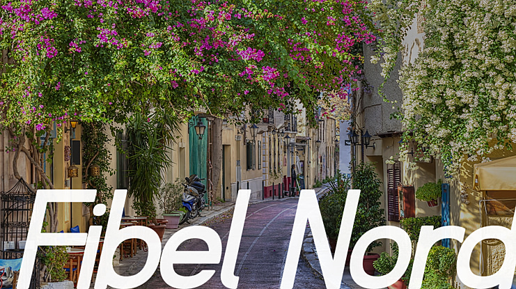 Fibel Font Family