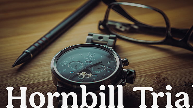 Hornbill Trial Font Family