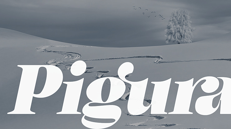 Pigura Font