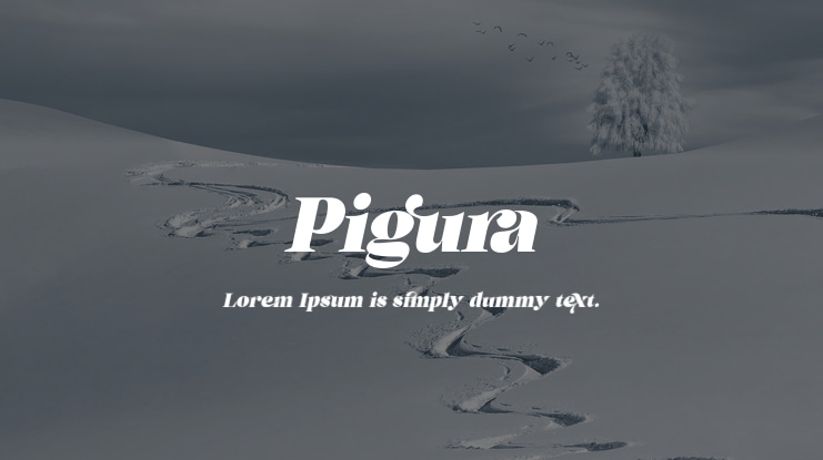 Pigura Font