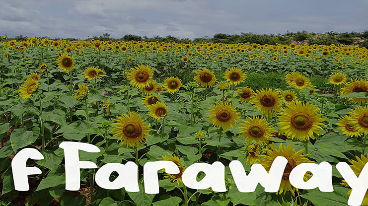 f Faraway Font