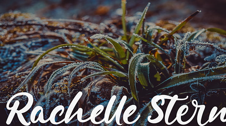 Rachelle Stern Font