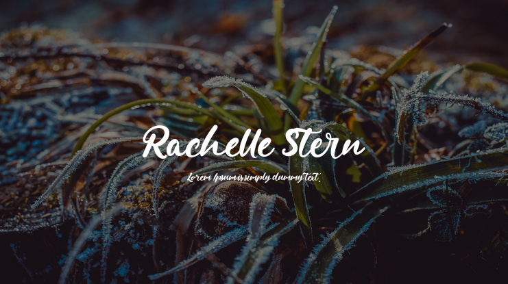 Rachelle Stern Font