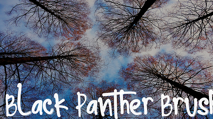 Black Panther Brush Font