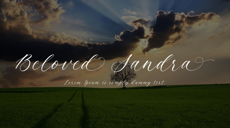 Beloved Sandra Font