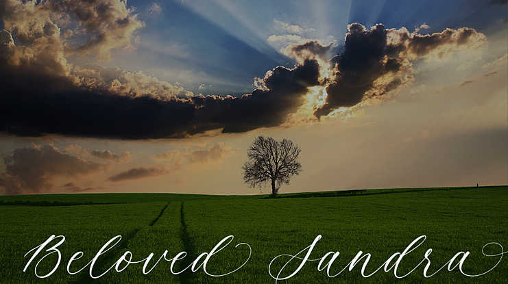 Beloved Sandra Font