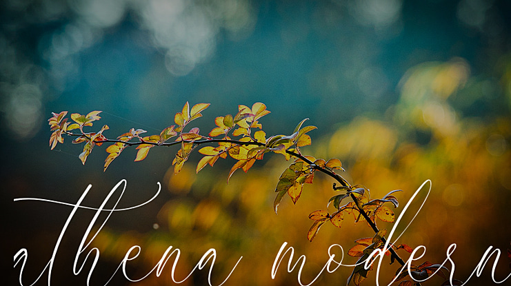athena modern Font