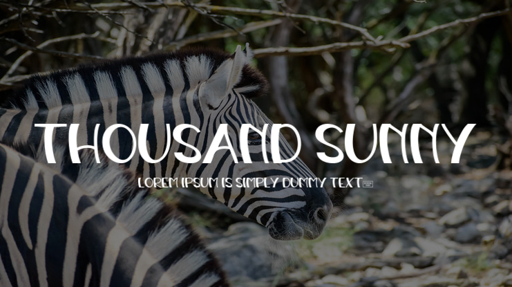THOUSAND SUNNY Font
