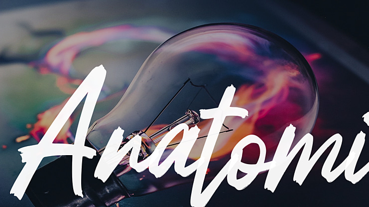 Anatomi Font Family