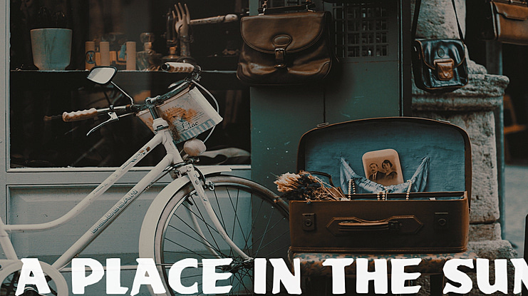 A place in the Sun Font