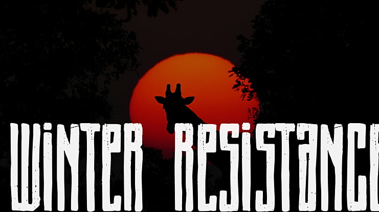 Winter Resistance Font