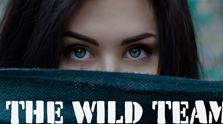 The Wild Team Font