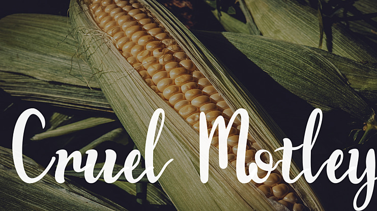 Cruel Motley Font