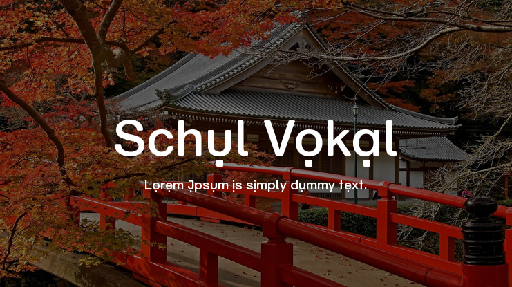 Schul Vokal Font Family