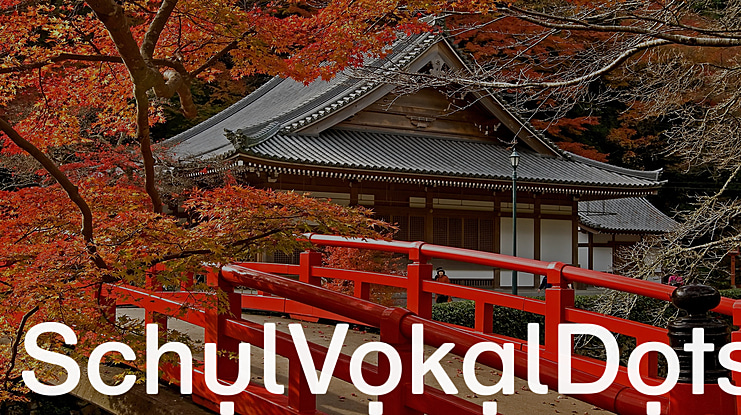 Schul Vokal Font Family