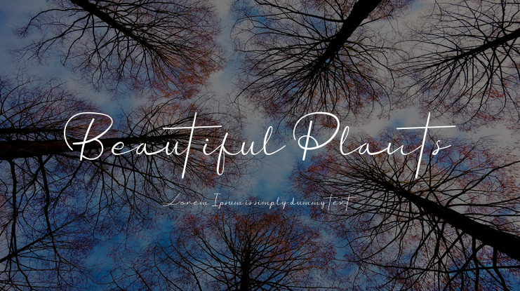 Beautiful Plants Font