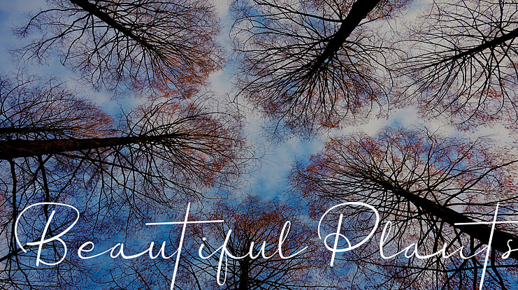 Beautiful Plants Font