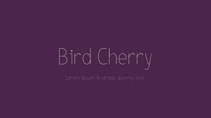 Bird Cherry Font Family