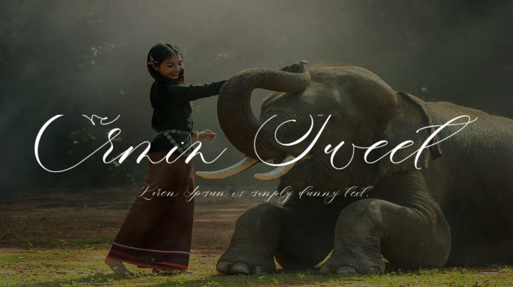 Ermin Sweet Font Family