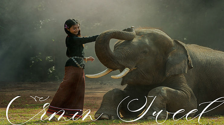 Ermin Sweet Font Family