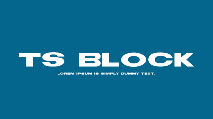 TS Block Font