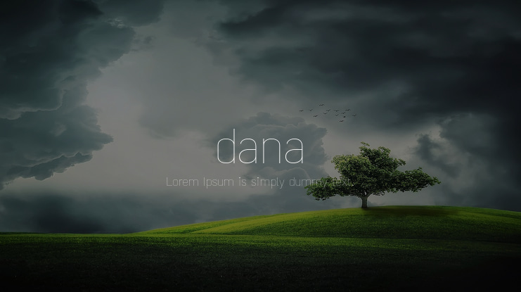 dana Font Family