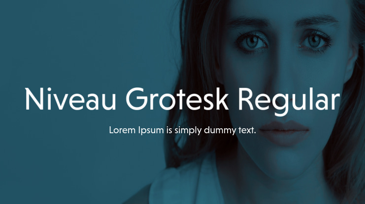 Niveau Grotesk Regular Font Family