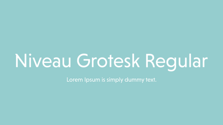Niveau Grotesk Regular Font Family