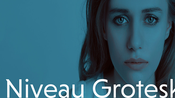 Niveau Grotesk Regular Font Family
