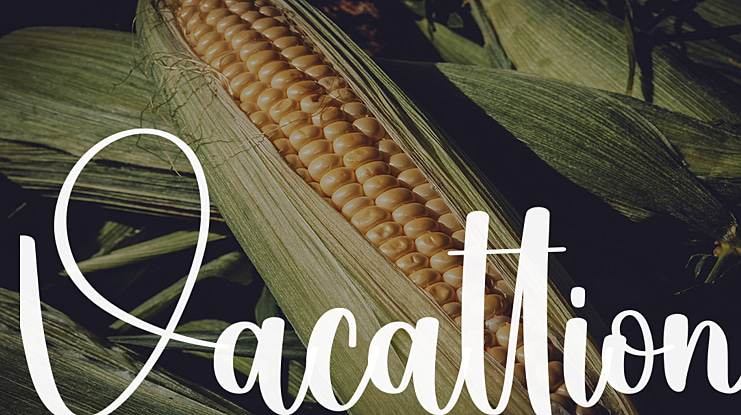 Vacattion Font