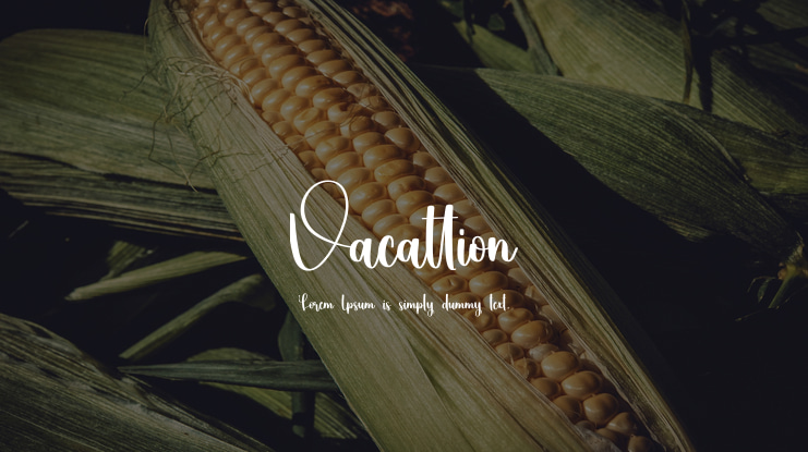Vacattion Font